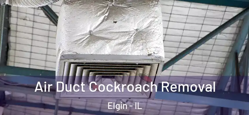  Air Duct Cockroach Removal Elgin - IL