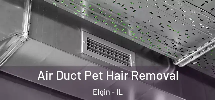 Air Duct Pet Hair Removal Elgin - IL