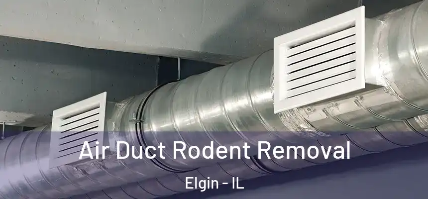  Air Duct Rodent Removal Elgin - IL