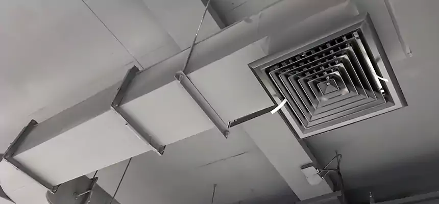 Restorative Allergy Relief Vent Cleaning – Coil, Blower & Housing Detail in Elgin