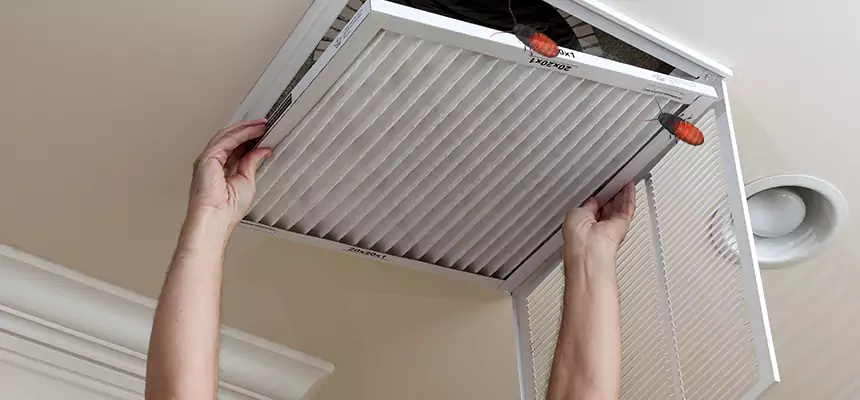 Our Insect Removal from Air Ducts Services in Elgin, IL
