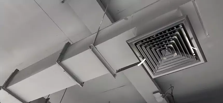 Our Rodent Droppings In Vents Services in Elgin, IL