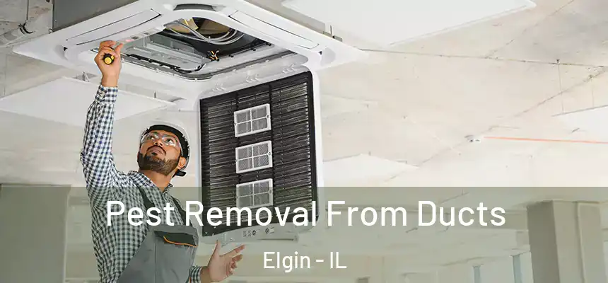  Pest Removal From Ducts Elgin - IL