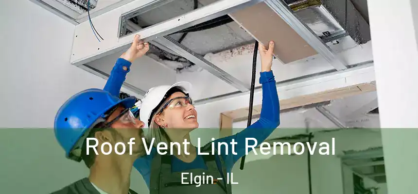 Roof Vent Lint Removal Elgin - IL