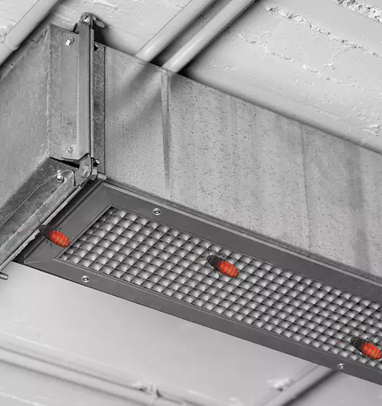 Affordable Insect Removal from Air Ducts in Elgin, IL