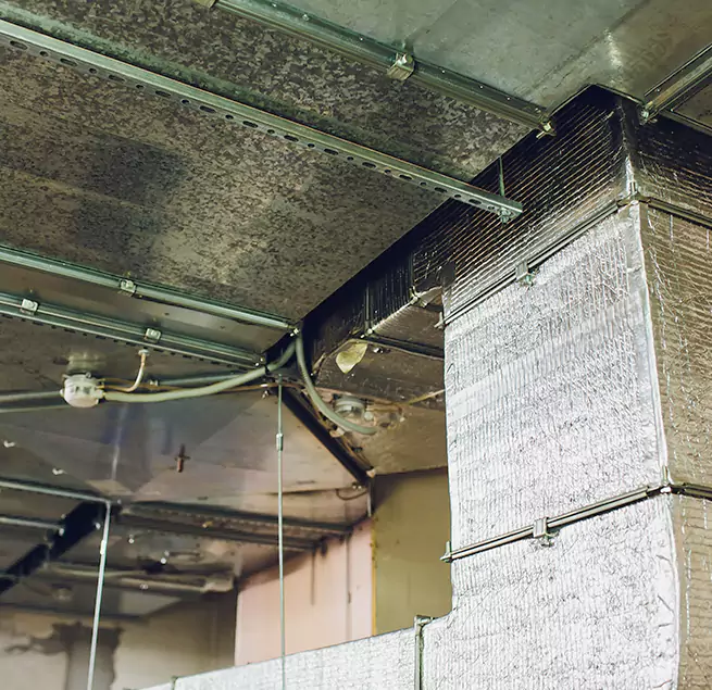 Why Homeowners & Businesses Trust Us in Elgin, IL?