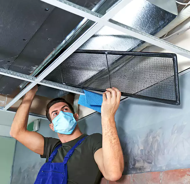 Why Homeowners Businesses Trust Us in Elgin, IL