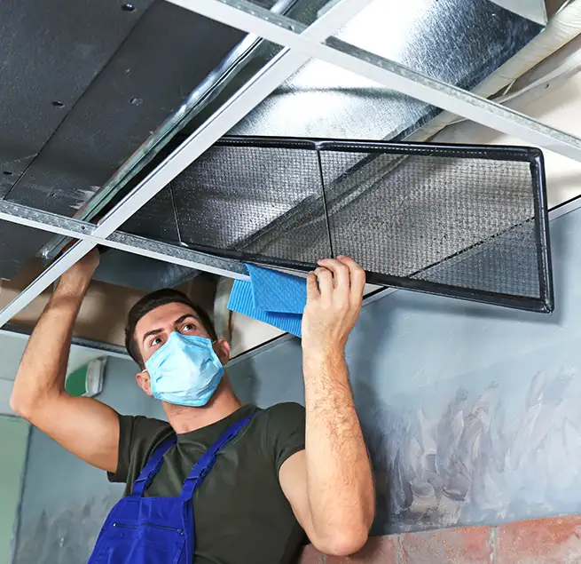 Why Homeowners & Businesses Trust Us in Elgin, IL?