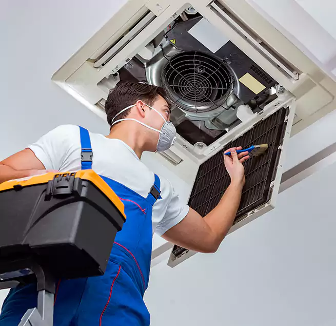 Why Homeowners & Businesses Trust Us in Elgin, IL?